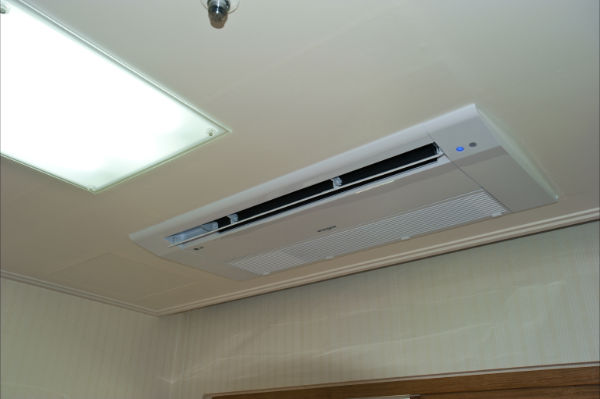 에코게스트사진`#2